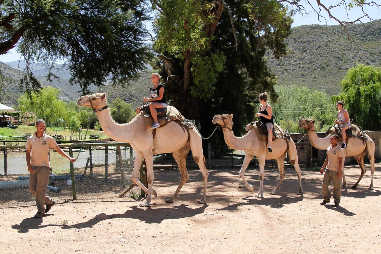 Wilgewandel Holiday Farm&Day Restaurant Oudtshoorn Exterior foto