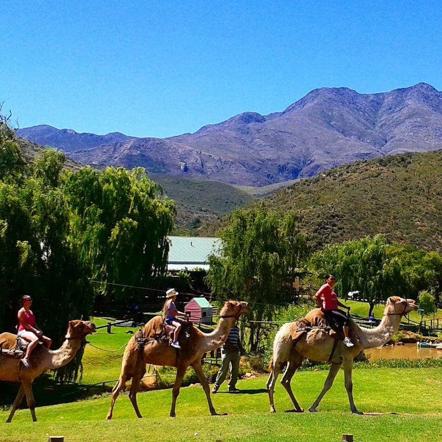 Wilgewandel Holiday Farm&Day Restaurant Oudtshoorn Exterior foto
